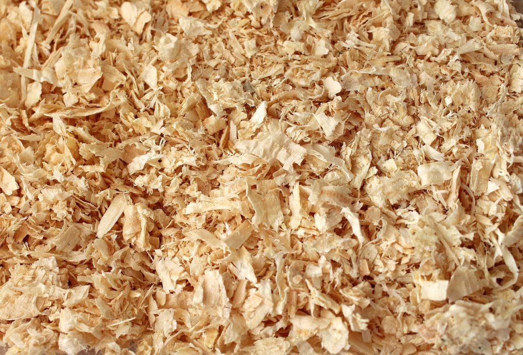 types of biomass fuel