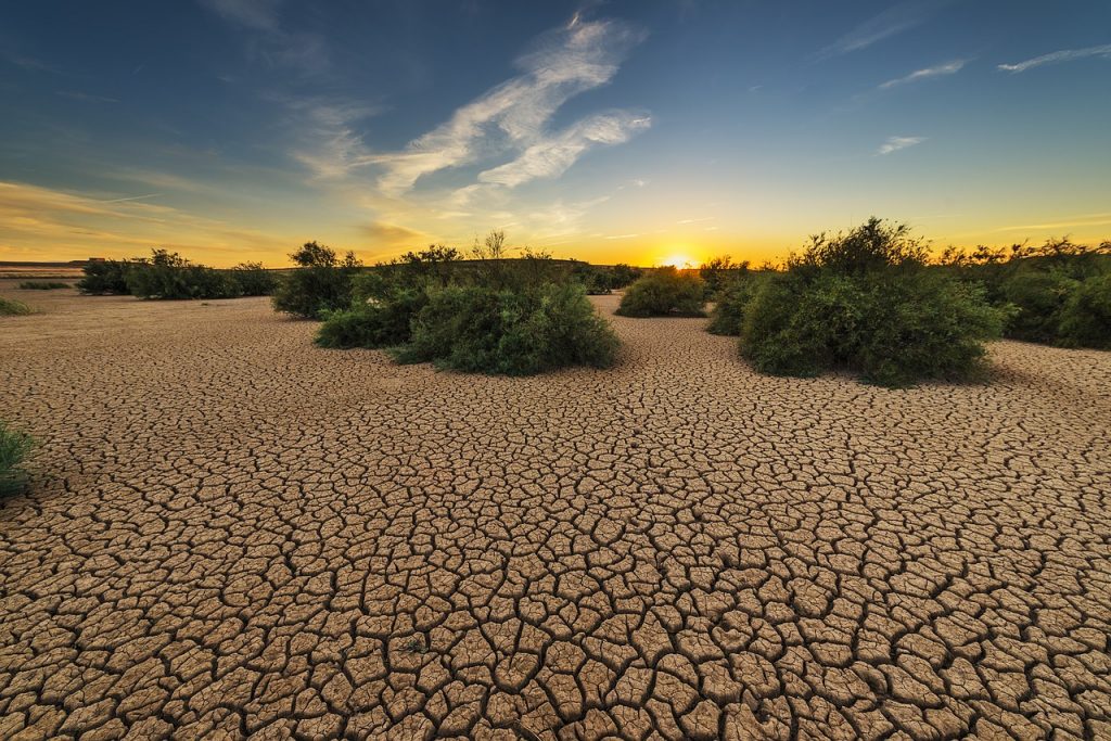 effects of drought on agriculture