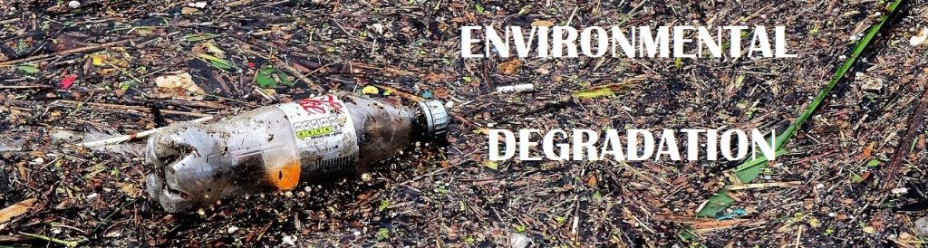 What Is Environmental Degradation In Simple Terms